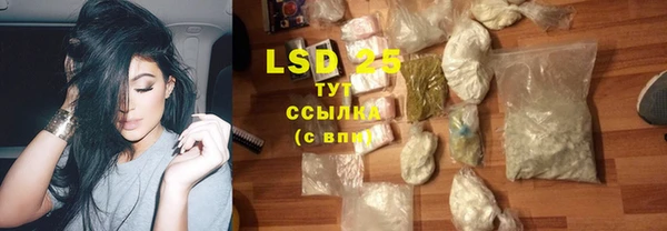 эйфоретик Гусиноозёрск
