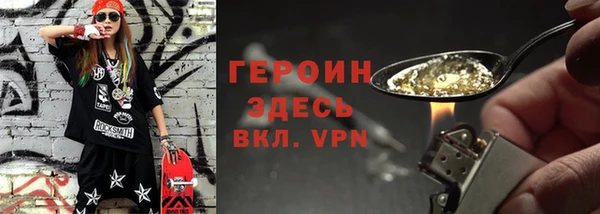 амф Гусев