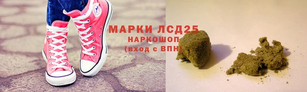 амф Гусев
