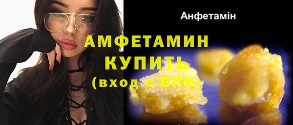 амф Гусев