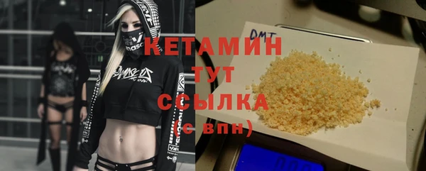 амф Гусев