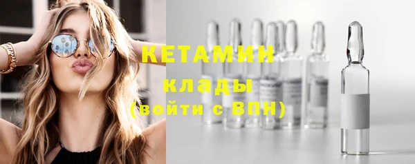амф Гусев