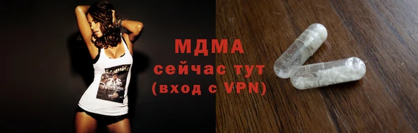 амф Гусев