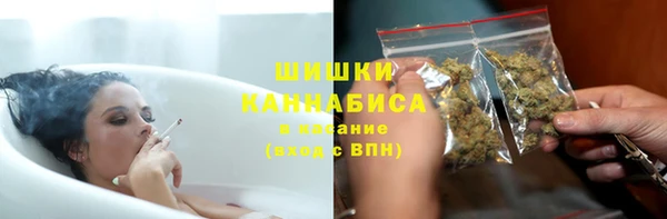 амф Гусев