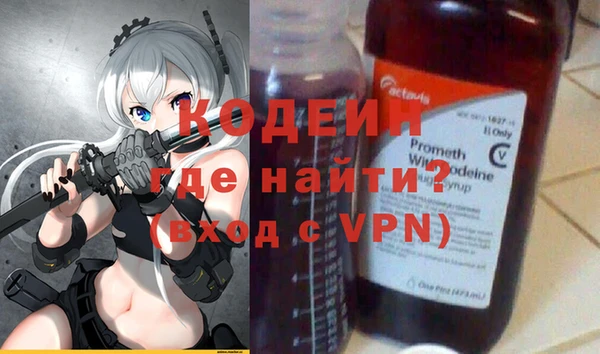 амф Гусев