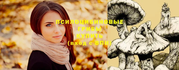 амф Гусев