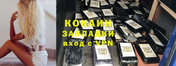 амф Гусев