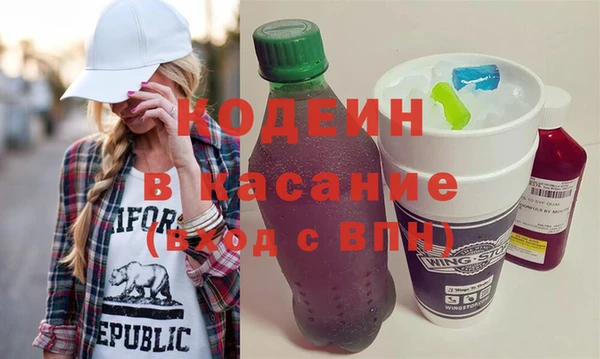 амф Гусев