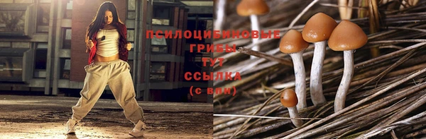 амф Гусев