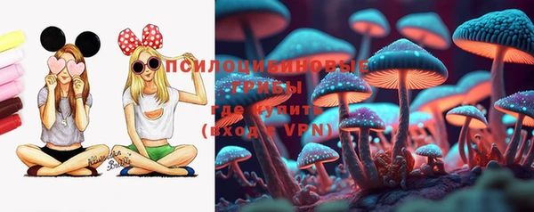 амф Гусев