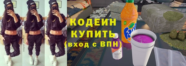 амф Гусев