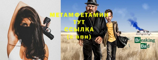 амф Гусев