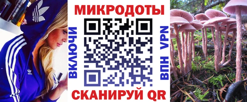 блэк спрут как зайти  Лаишево  Галлюциногенные грибы Psilocybe 